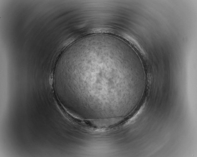 X0000093220841200710171358