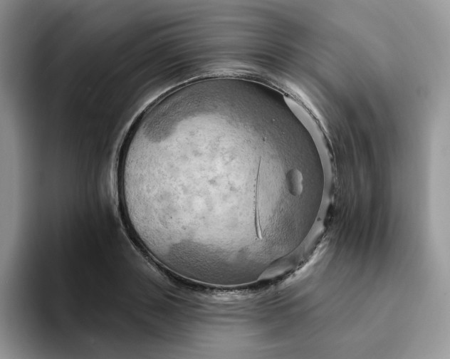 X0000093220843200710171358