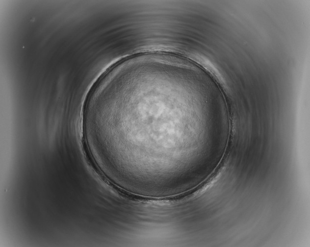 X0000093220844200710171358