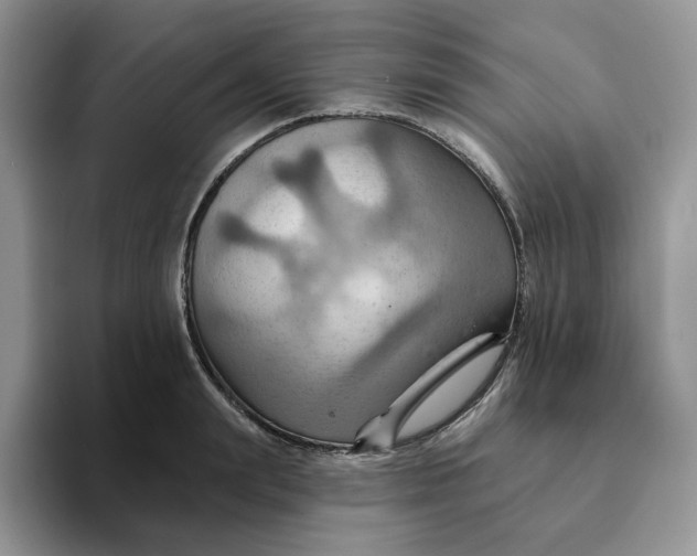 X0000093220847200710171358