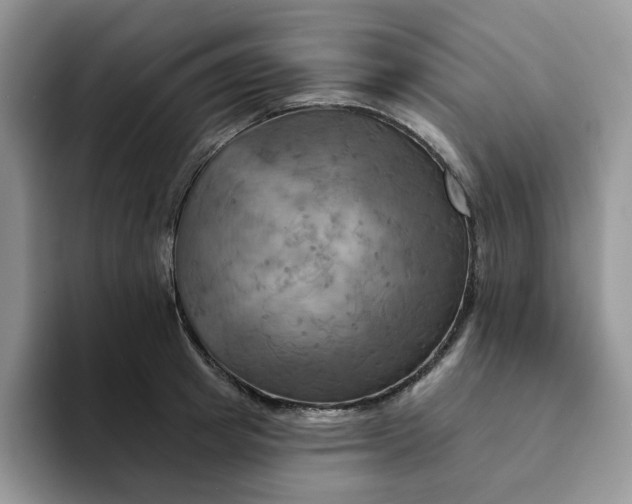 X0000093220849200710171358