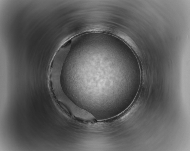 X0000093220850200710171358