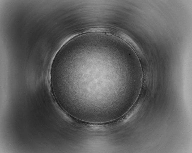 X0000093220852200710171358