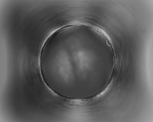 X0000093220855200710171358