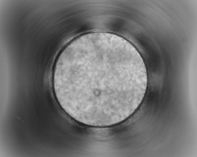 X0000093220856200710171358