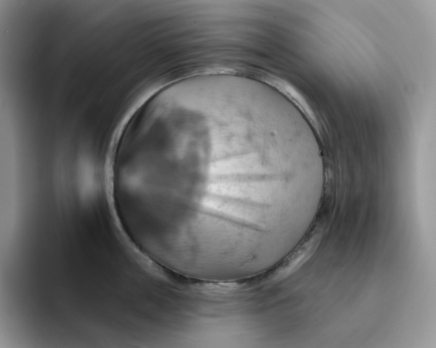 X0000093220859200710171358