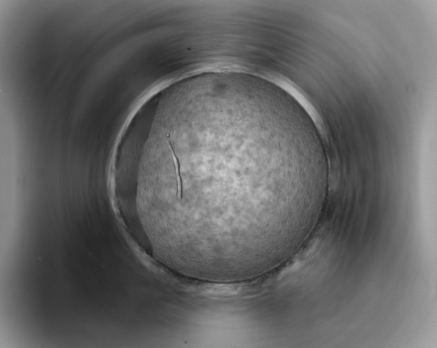X0000093220861200710171358
