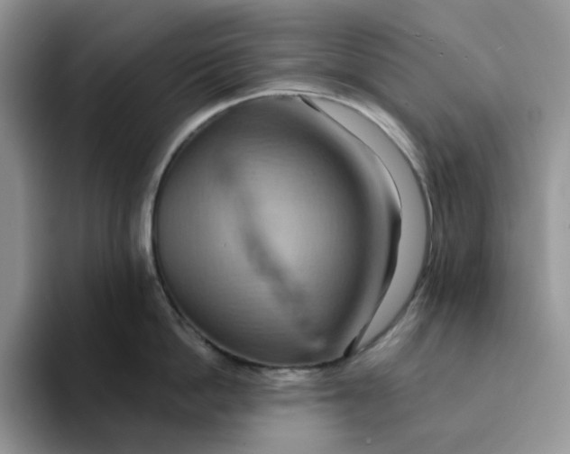 X0000093220862200710171358