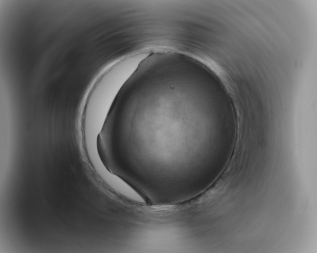 X0000093220864200710171358