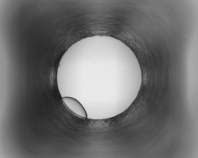 X0000093220866200710171357