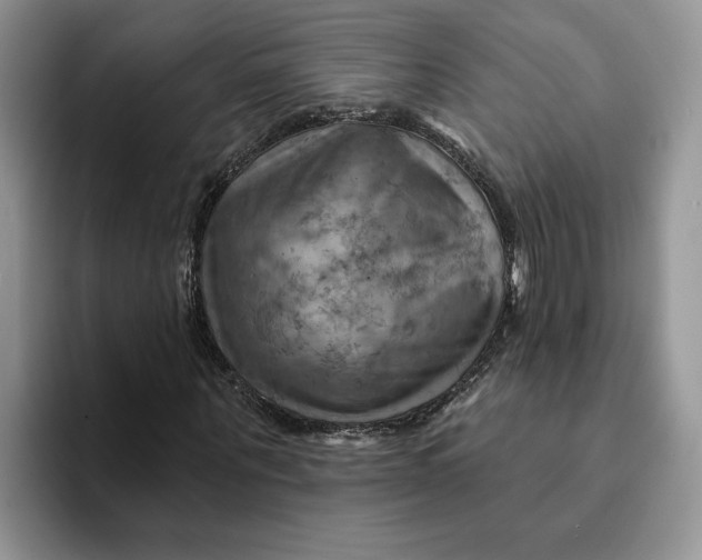 X0000093220867200710171357