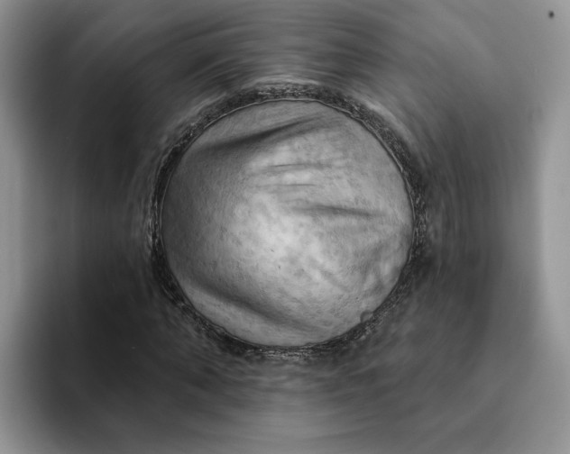 X0000093220870200710171357