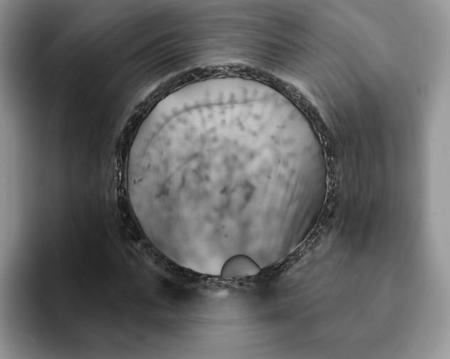 X0000093220871200710171357