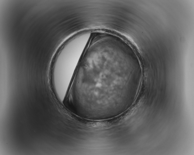 X0000093220879200710171357