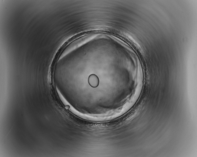 X0000093220883200710171357