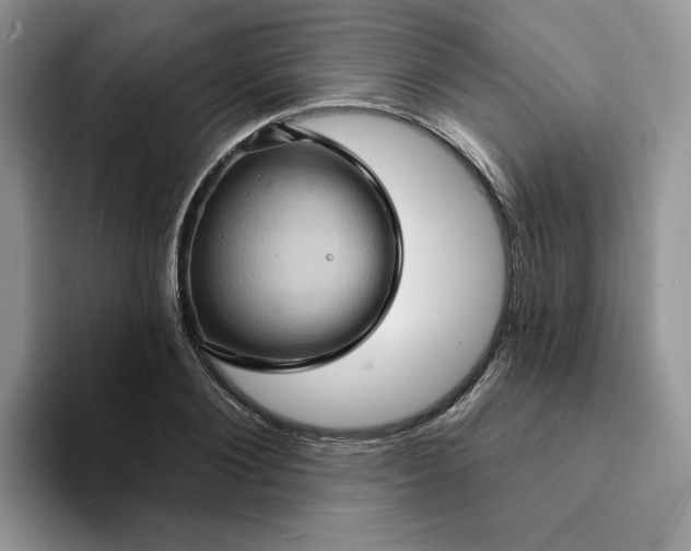 X0000093220884200710171357