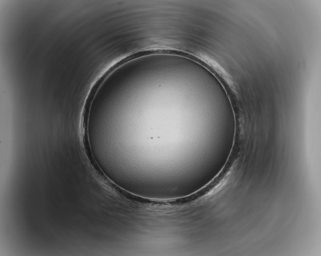 X0000093220885200710171357