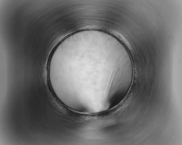 X0000093220890200710171357