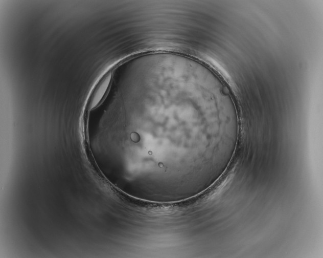 X0000093220891200710171357