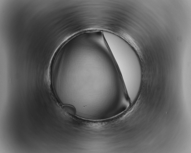 X0000093220892200710171357