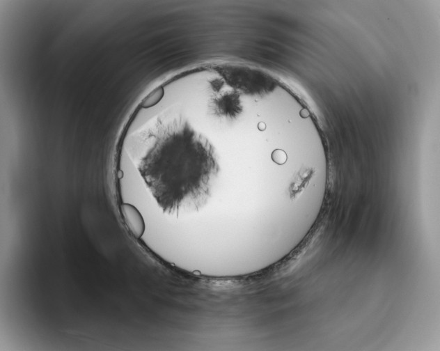 X0000093220903200710171357