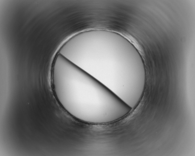 X0000093220904200710171357