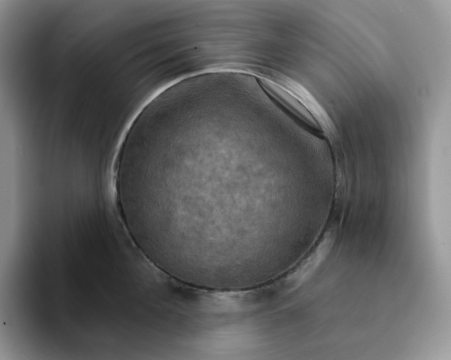 X0000093220908200710171357