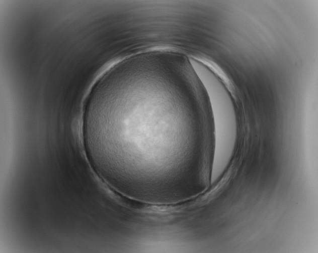 X0000093220910200710171357