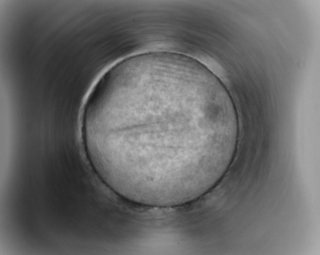 X0000093220912200710171357