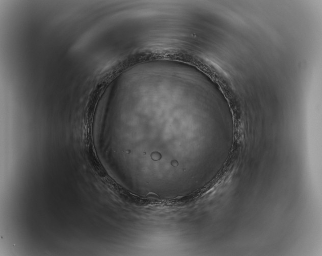 X0000093220917200710171356