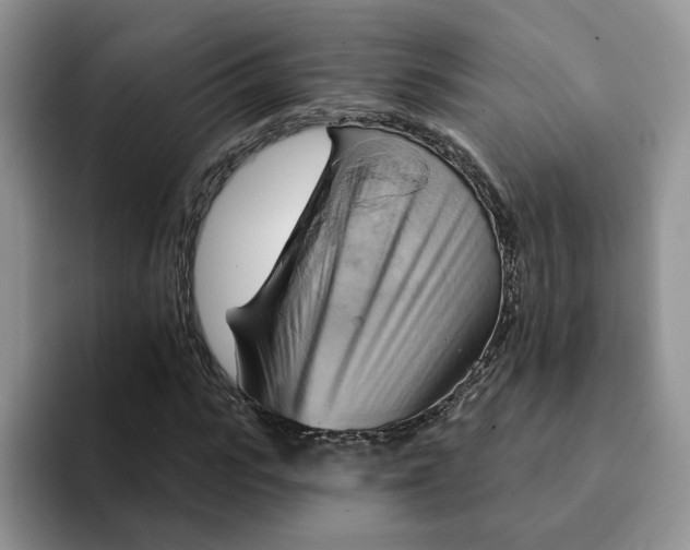 X0000093220919200710171356