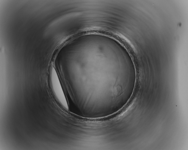 X0000093220921200710171356