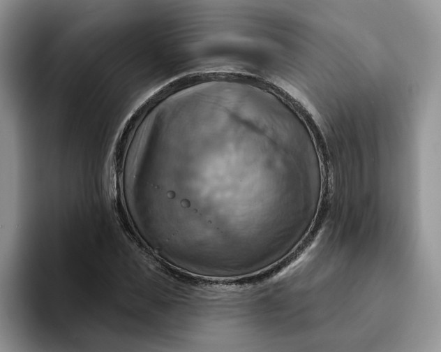 X0000093220925200710171357