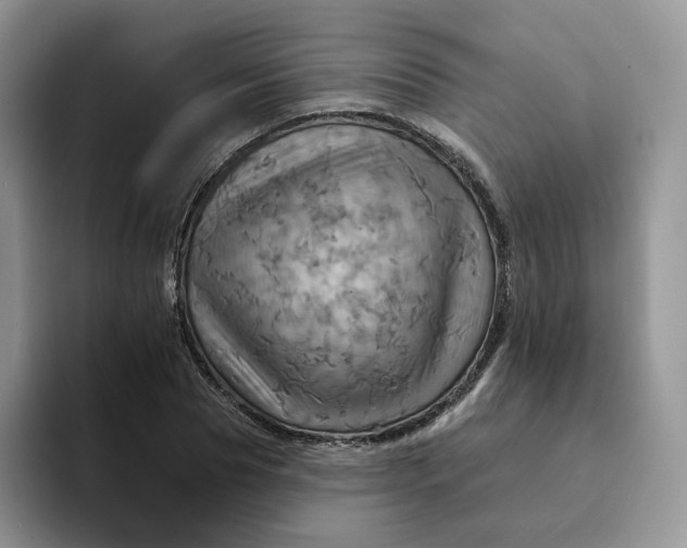 X0000093220929200710171357