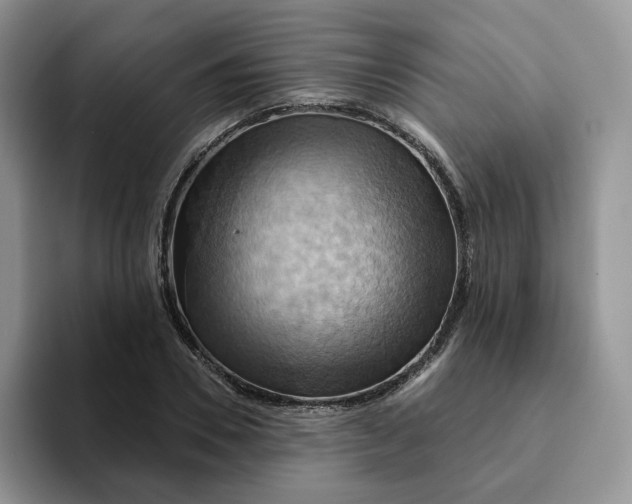 X0000093220930200710171357