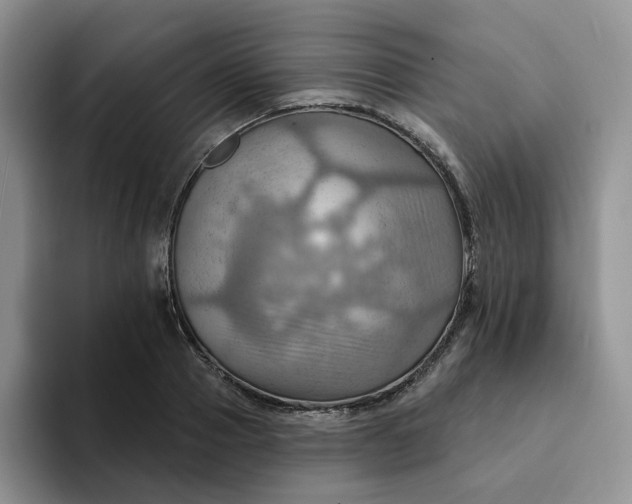 X0000093220937200710171357