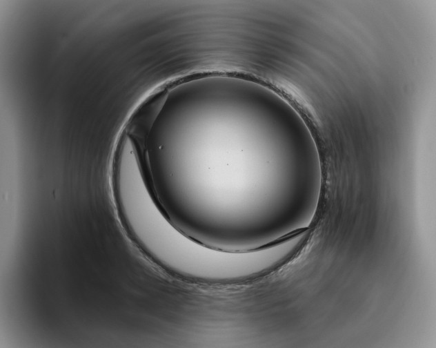 X0000093220942200710171357