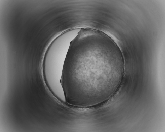 X0000093220949200710171357