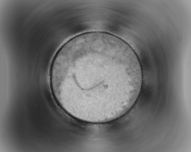 X0000093220950200710171357