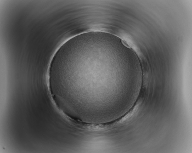 X0000093220955200710171357