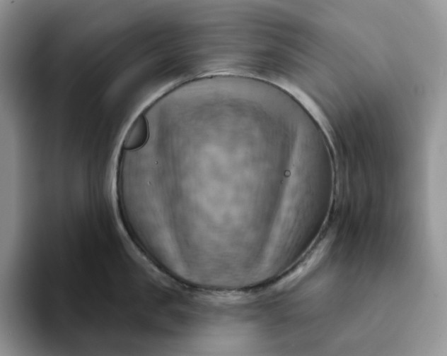 X0000093220957200710171357