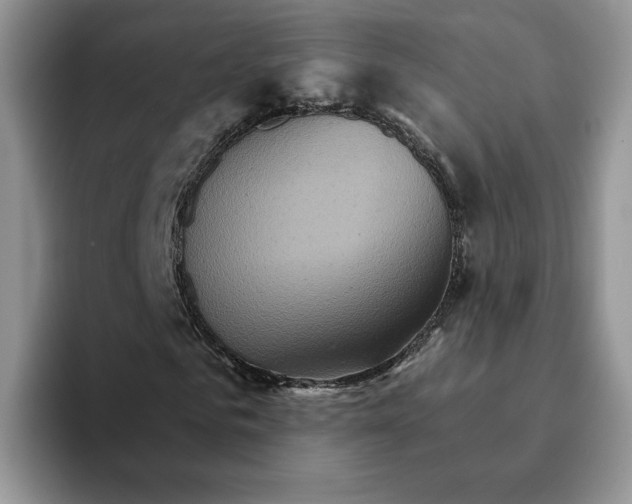 X0000093220961200710171356