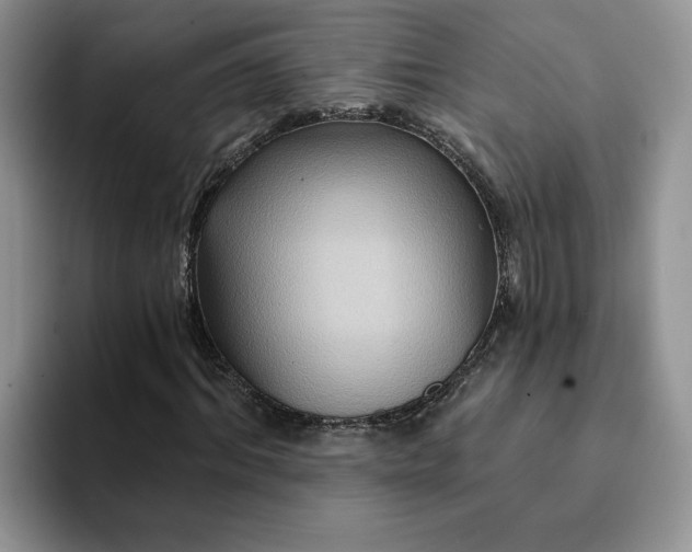 X0000093220964200710171356