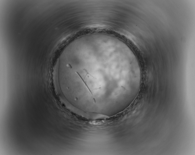 X0000093220967200710171356