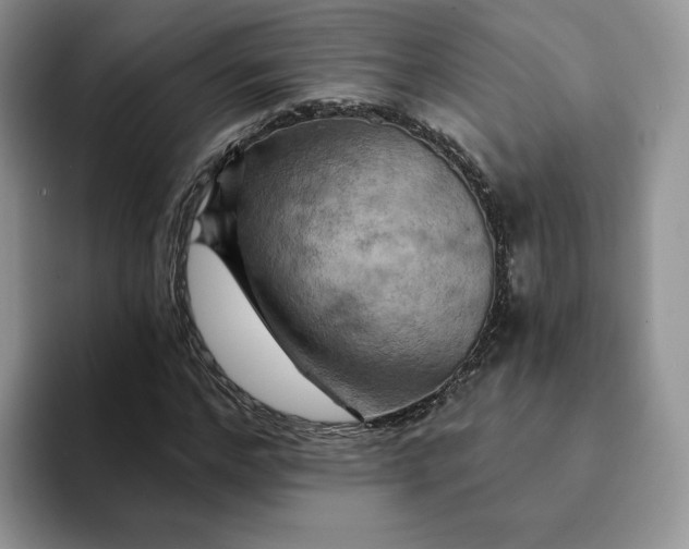 X0000093220968200710171356