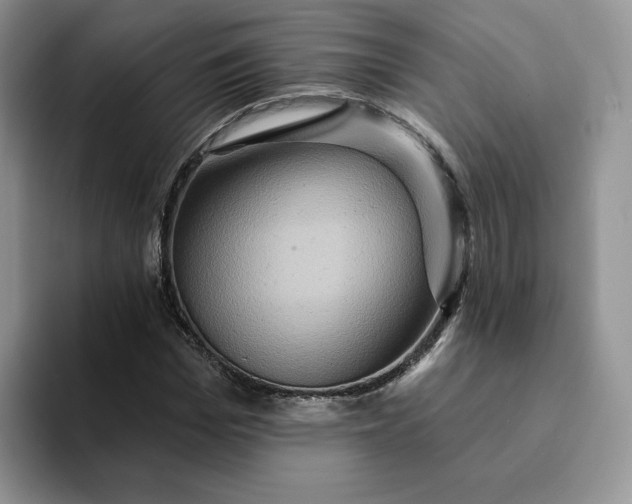 X0000093220969200710171356