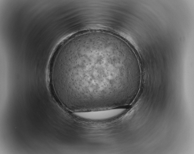 X0000093220979200710171356