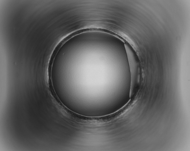 X0000093220980200710171356