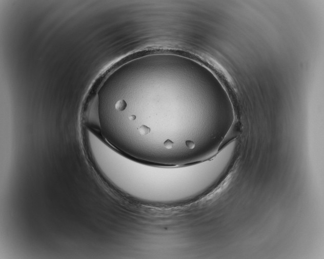 X0000093220981200710171356