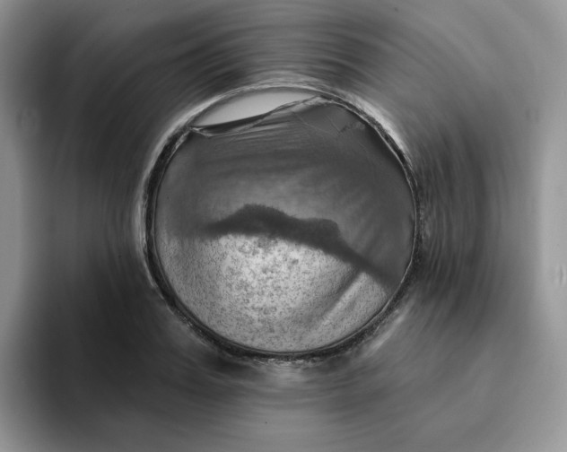 X0000093220987200710171356